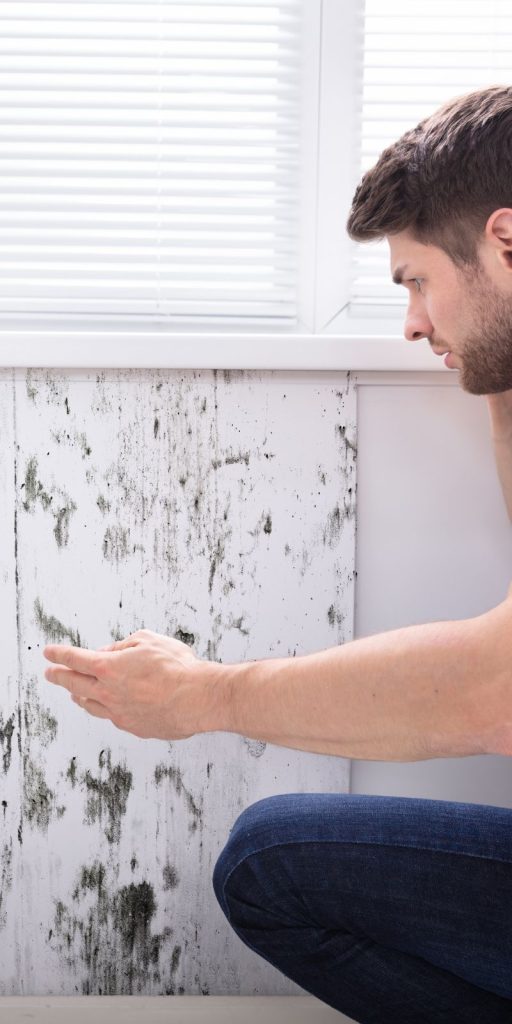A man kneels to examine a moldy wall, representing the mold removal service available in Reno, NV.