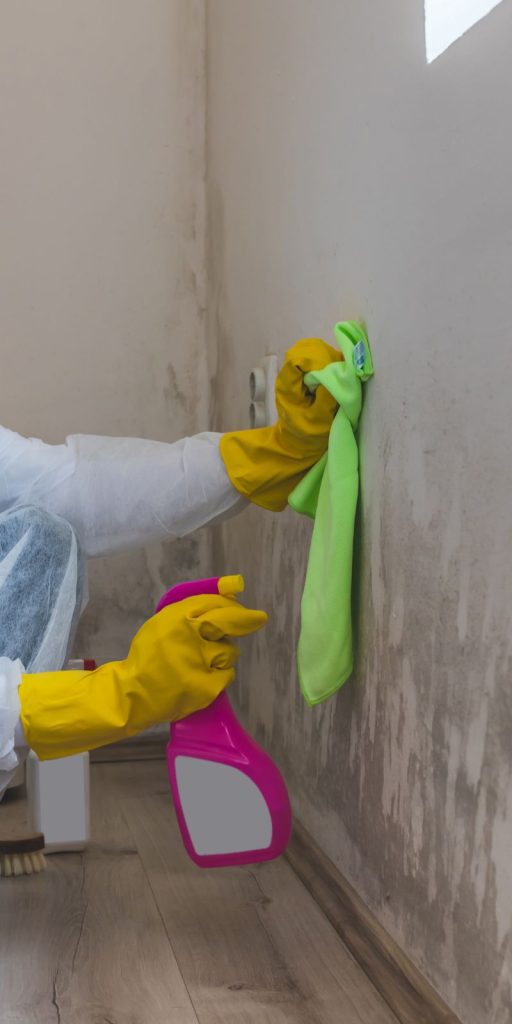 A professional in a white coat and yellow gloves is cleaning a wall, highlighting mold removal services in Reno, NV.