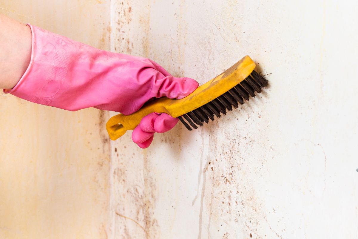 A hand in a pink rubber glove scrubs a dirty wall with a yellow brush, removing mold and grime from the surface.