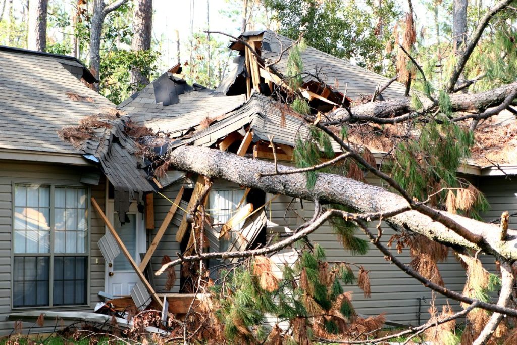A large tree has fallen on a house, damaging the roof and causing the exterior walls to buckle, with debris scattered around.